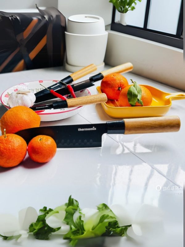 Thermomixer 4-Piece Japanese Knife Set – Self-Sharpening Blades with Wooden Handles